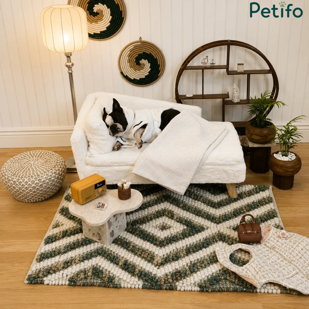 A Boston Terrier in a bathrobe relaxing on a luxury white plush pet sofa in a decorated living room.