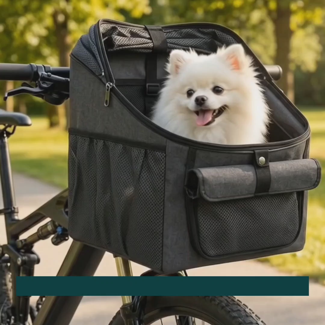 Dog riding in the Pendlo basket mounted on a bicycle – Petifo
