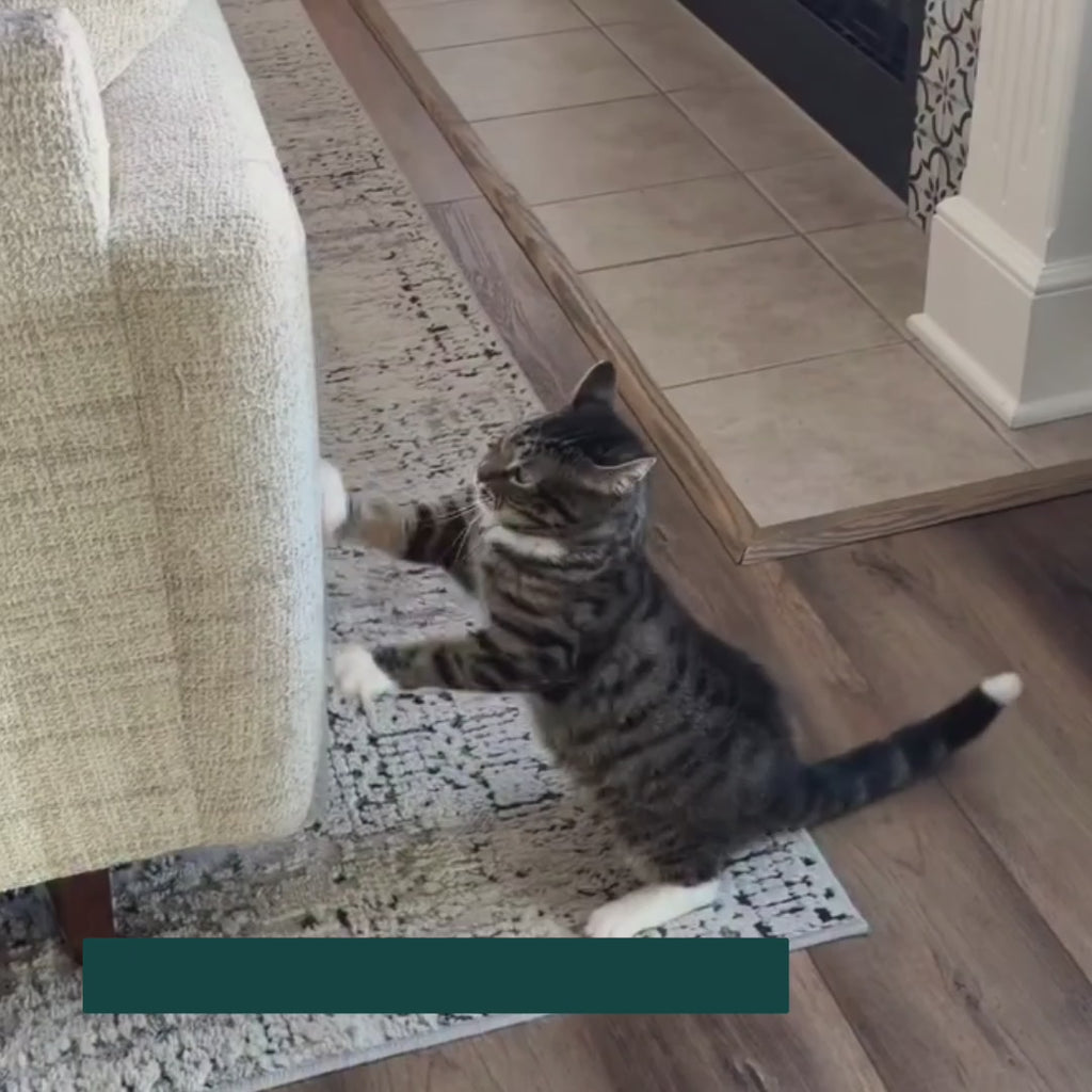 PawHut Cat Tree with Tunnel and scratching posts — Petifo