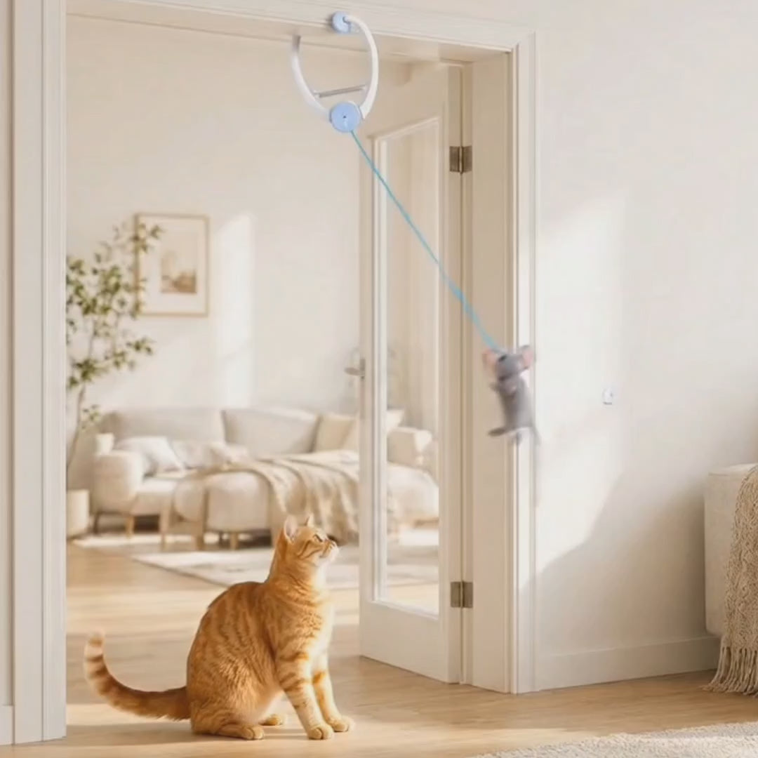 Cat batting at the Felineo hanging toy in a doorway – Petifo