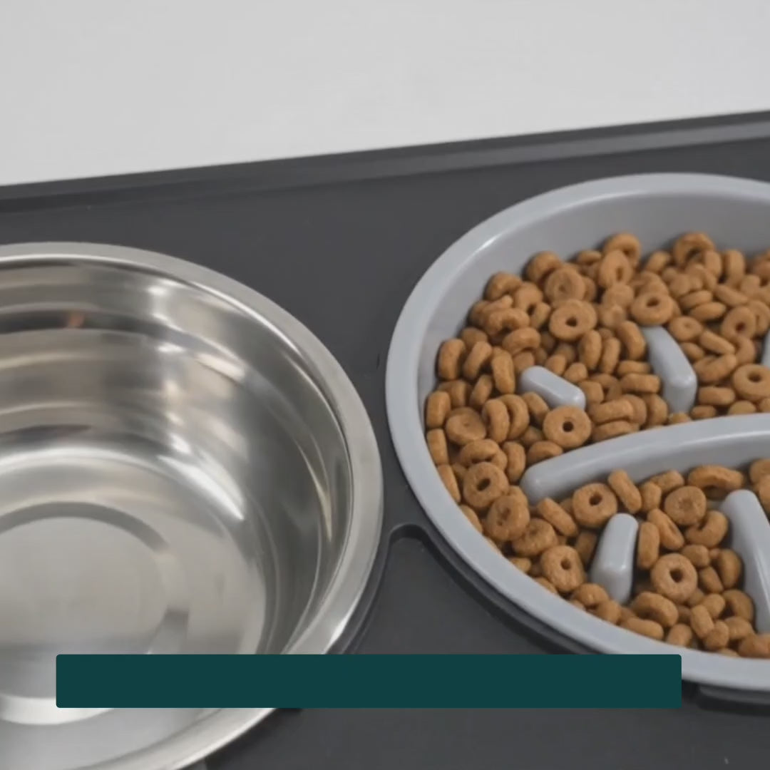Adjustable raised bowl shown at feeding height – Petifo
