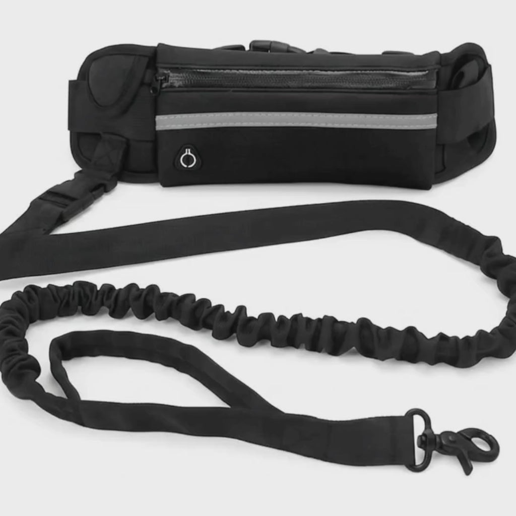 Walking hands-free with the Flexura lead clipped to the waist bag – Petifo