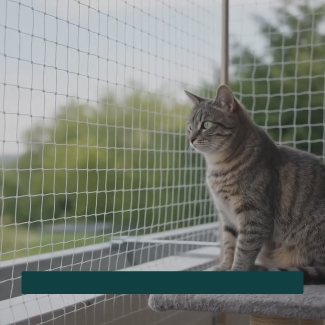 SafeGuard cat net shown securing an outdoor space for a cat – Petifo