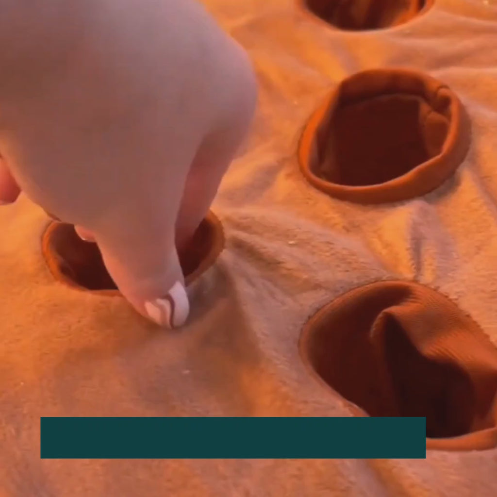 Dog sniffing out treats hidden in the folds of the carrot snuffle mat – Petifo