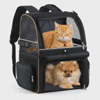 Carrying two pets in the PetPacker double backpack on a walk – Petifo