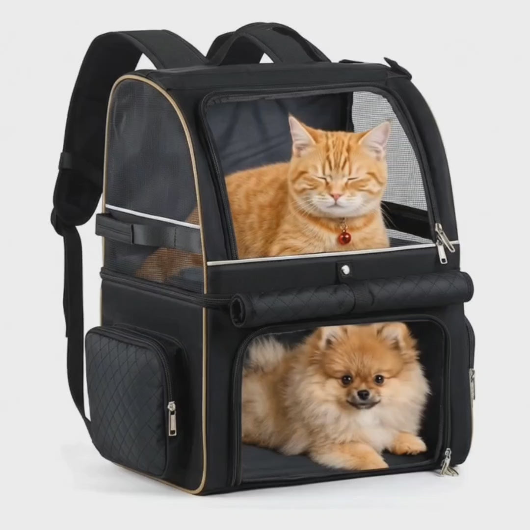 Carrying two pets in the PetPacker double backpack on a walk – Petifo