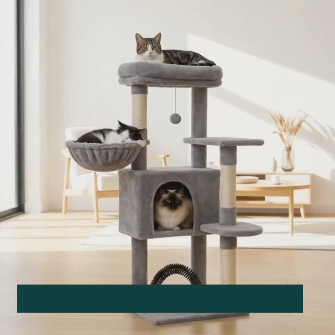 Cat rubbing against the grooming arch on the PAWZ cat tree – Petifo