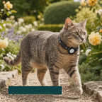 AirTag case clipped into the cat collar and worn by a cat outdoors – Petifo