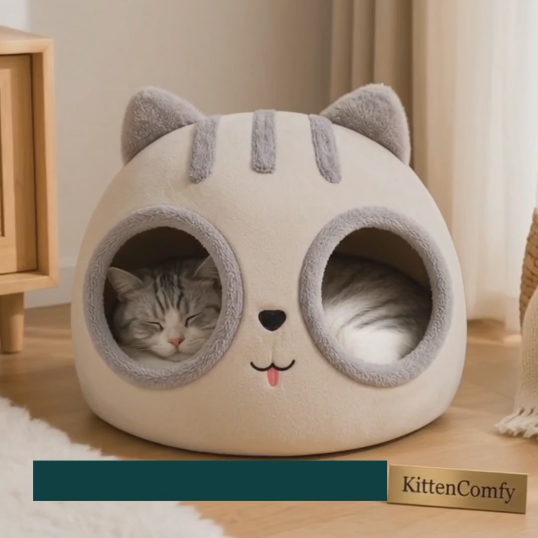 kittencomfy bed shown supporting a resting kitten – Petifo