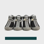 Dog walking on hot pavement wearing SolStep summer shoes – Petifo