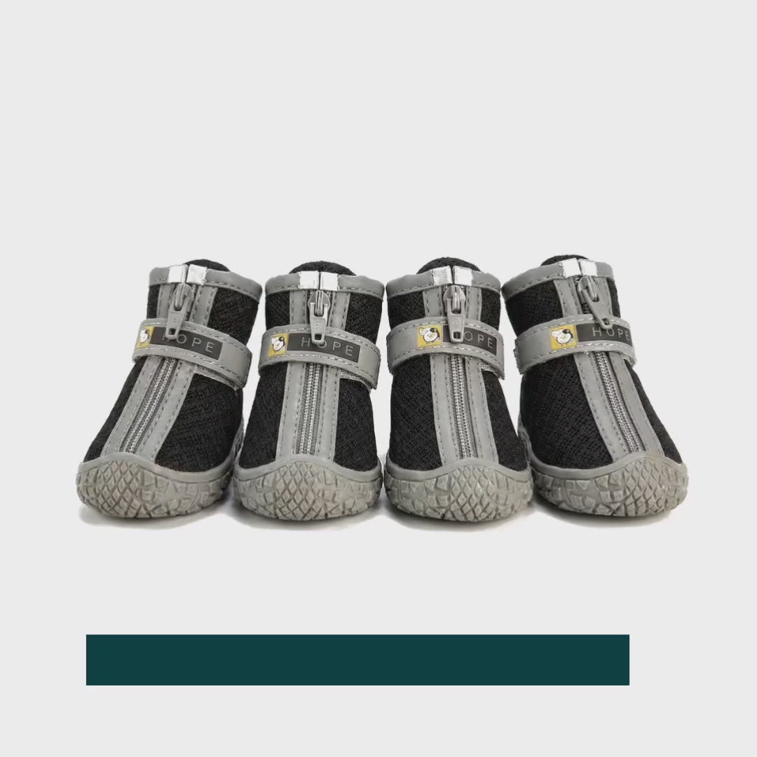 Dog walking on hot pavement wearing SolStep summer shoes – Petifo