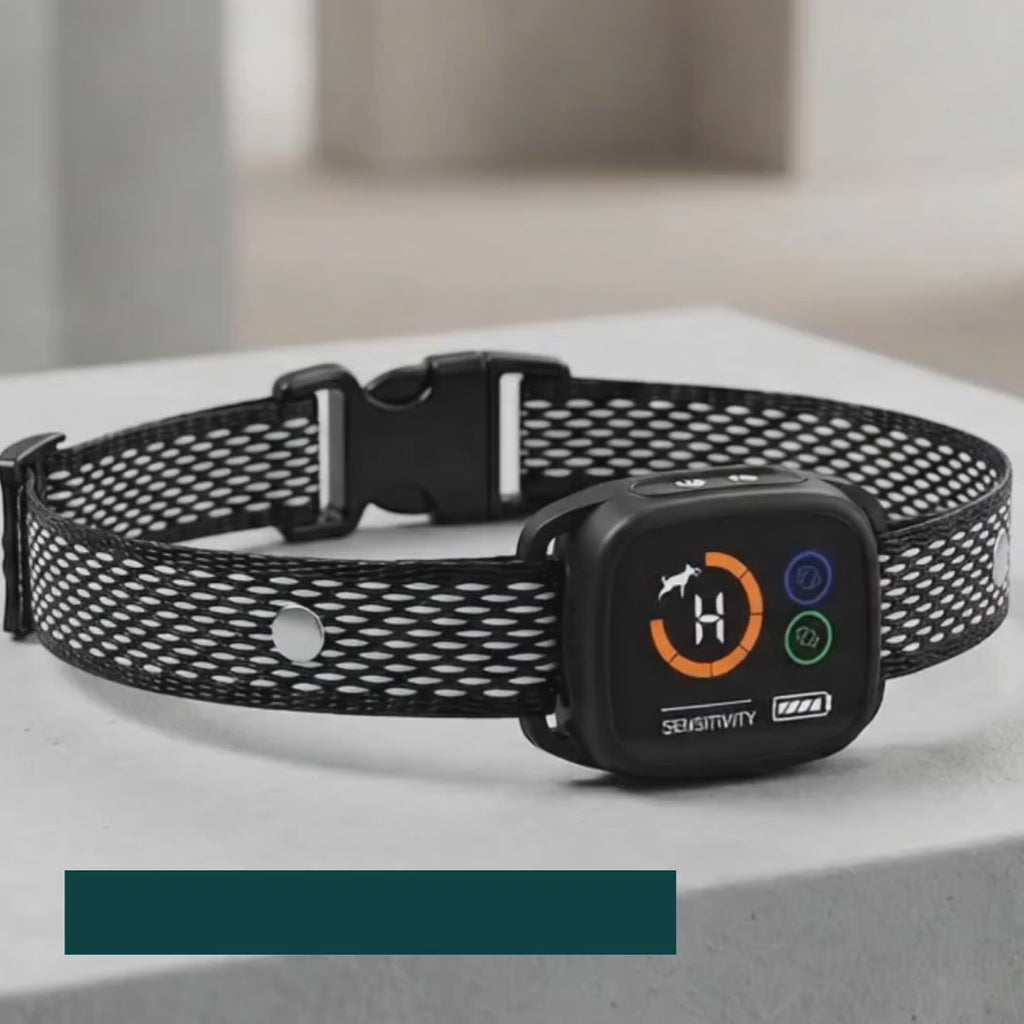 ChewUp anti-bark collar shown fitted on a dog – Petifo